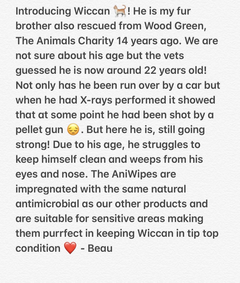 Introducing Wiccan!

#petcare #woundcare #antimicrobial #petfirstaid #norwegianspruce #cat #rescuecat #oldcat #newproduct #natural #animalcare #blackcat #vet #purfect #furfamily @Wood_Green