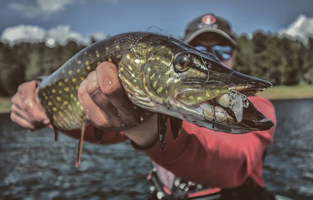 VMC Hooks tweet media