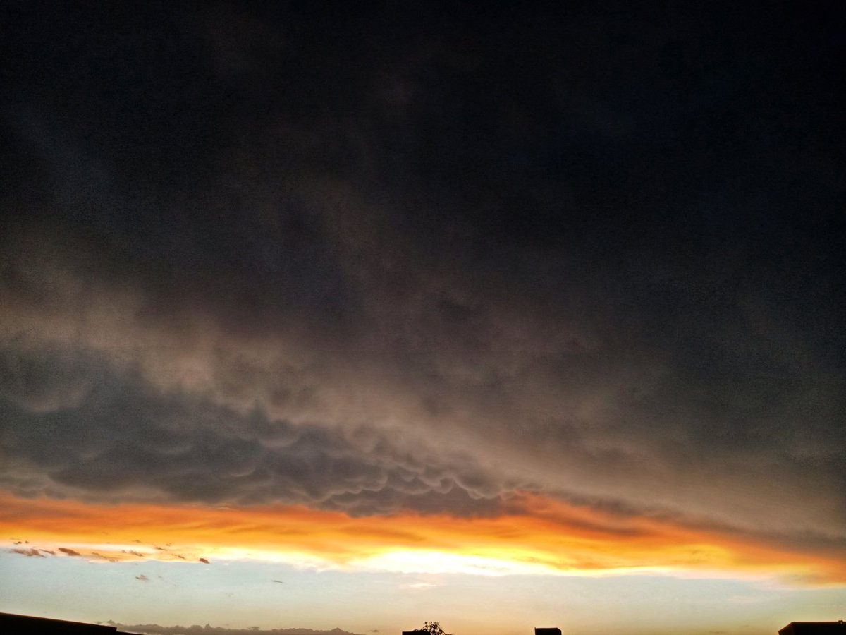 GoldenSparrow63's tweet photo. #Weather #After #HeavyShower https://t.co/T6NAlAyfhs