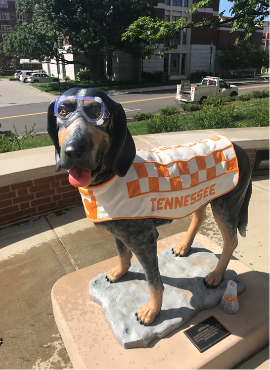 UTKBiology's tweet photo. #UTKGeneralBiology and Smokey getting ready for Summer Session I over in #StrongHall! #labsafety
@ArtsSciencesUT
@UTK_BCMB
@UTK_EEB
@UTKMicrobiology https://t.co/88uMzq2elb