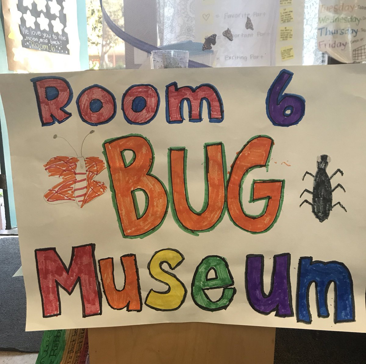 WhitneyAlegria's tweet photo. During Open House, students shared their love for insects in our Bug Museum! Students researched, wrote, and created. #proudteacher @sbunified #bugmuseum #insects #2ndgrade #NGSS https://t.co/9PUDNkcn4A