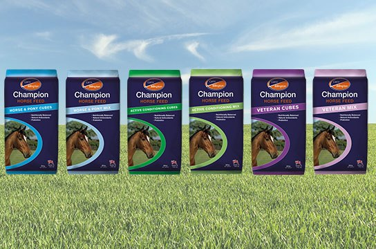 horse_feed's tweet photo. We have added FOS prebiotic and natural antioxidants to our horse feed formulation. Prebiotic FOS (Fructooligosaccharides), are short and medium chain sugar molecules that cannot be digested by your #horse: https://t.co/aDoNqx8Xvx 🐴 #FeedToSucceed https://t.co/kVvCTBPhpt