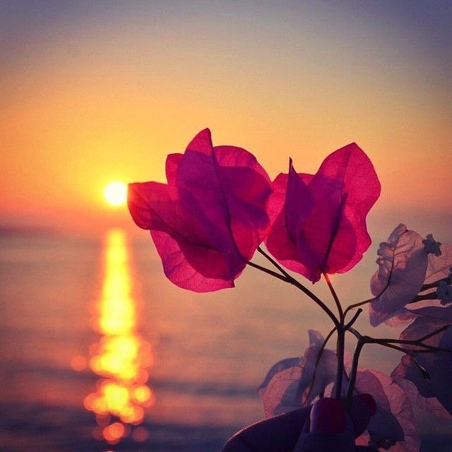 Learn from yesterday
Live for today
Hope for tomorrow.

Albert Einstein