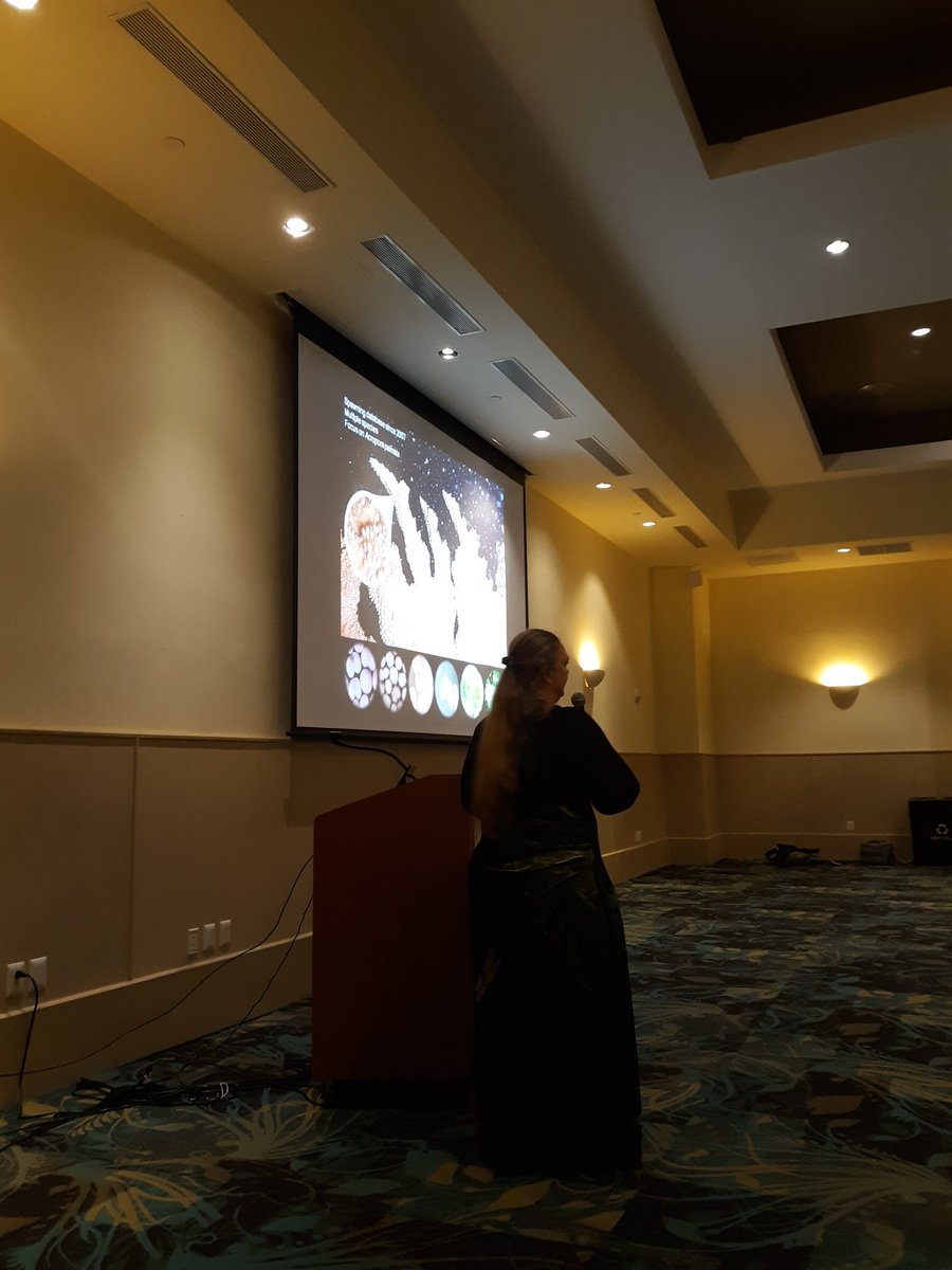 amlc_caribbean's tweet photo. Dr. Anastazia Banaszak started the morning with a plenary talk about the advances and challenges of #coral restoration. #39thAMLC https://t.co/LNzsMtGm9j