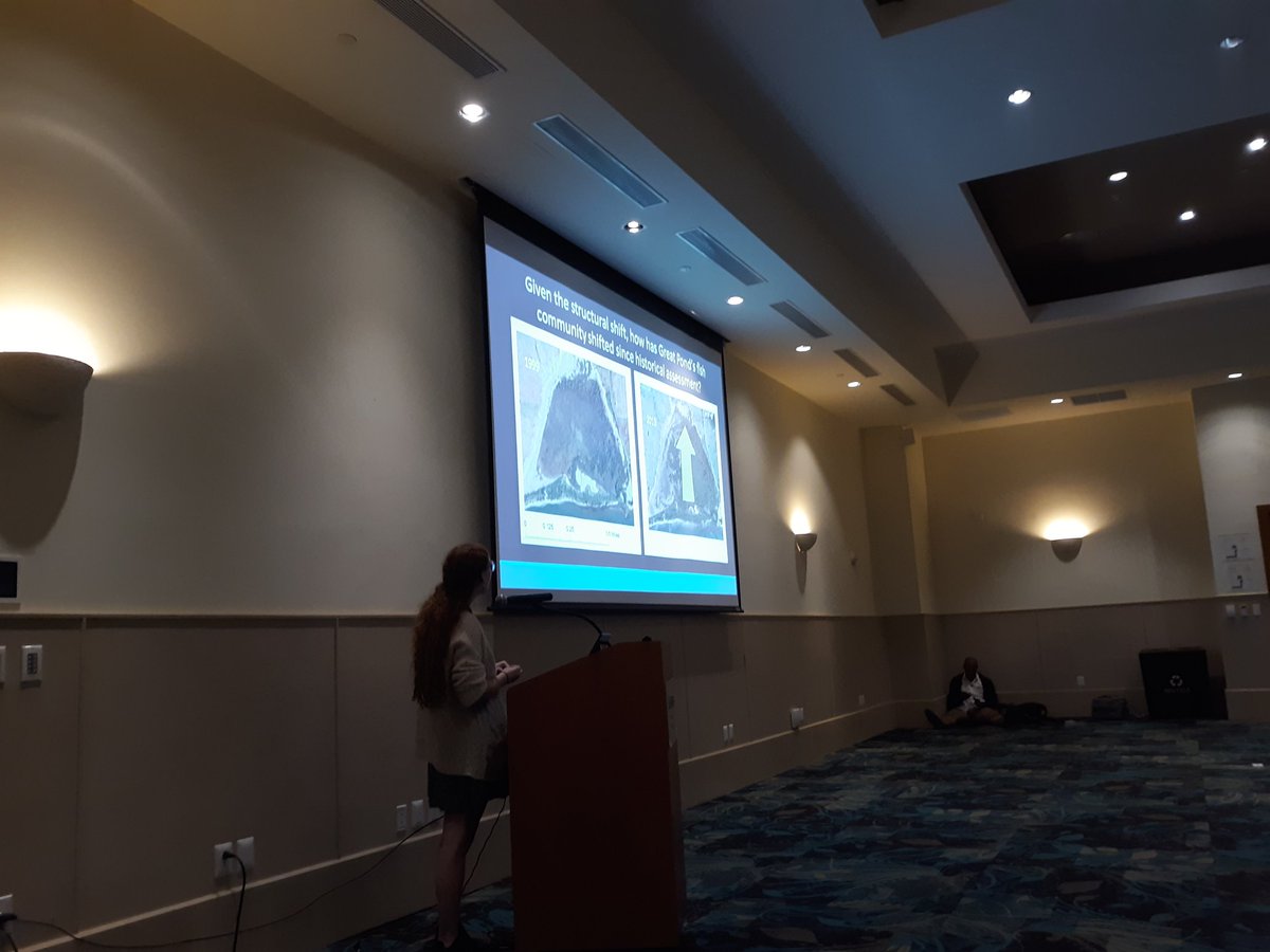 amlc_caribbean's tweet photo. Allie Durdall presented a very interesting comparison between modern and historical #mangrove survey data. Repeating existing historical surveys can give us important insight into how ecosystems have changed over time, sometimes in surprising ways. #39thAMLC https://t.co/28011H45PV