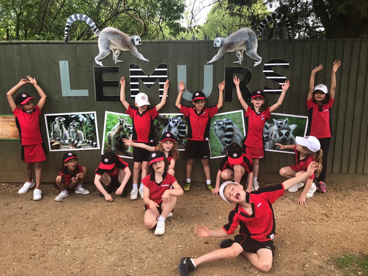 BGS_LowerSch's tweet photo. Year 2 had a fantastic day @BealePark yesterday, blessed with amazing animals and the sunshine to match! #bgs_outdoorlearning #BGSLowerSchool #WorthTheWait https://t.co/Hk0PMJGrP8