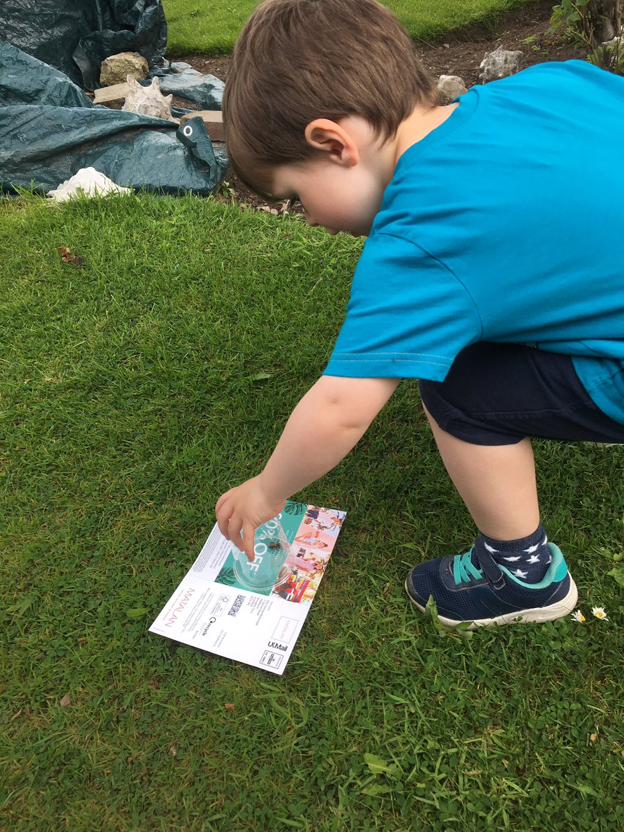 jomcd80's tweet photo. @mattocks_ps Riley helping to release a honey bee π that was trapped in our house #MM4mattocks https://t.co/P8oKzLkfMa