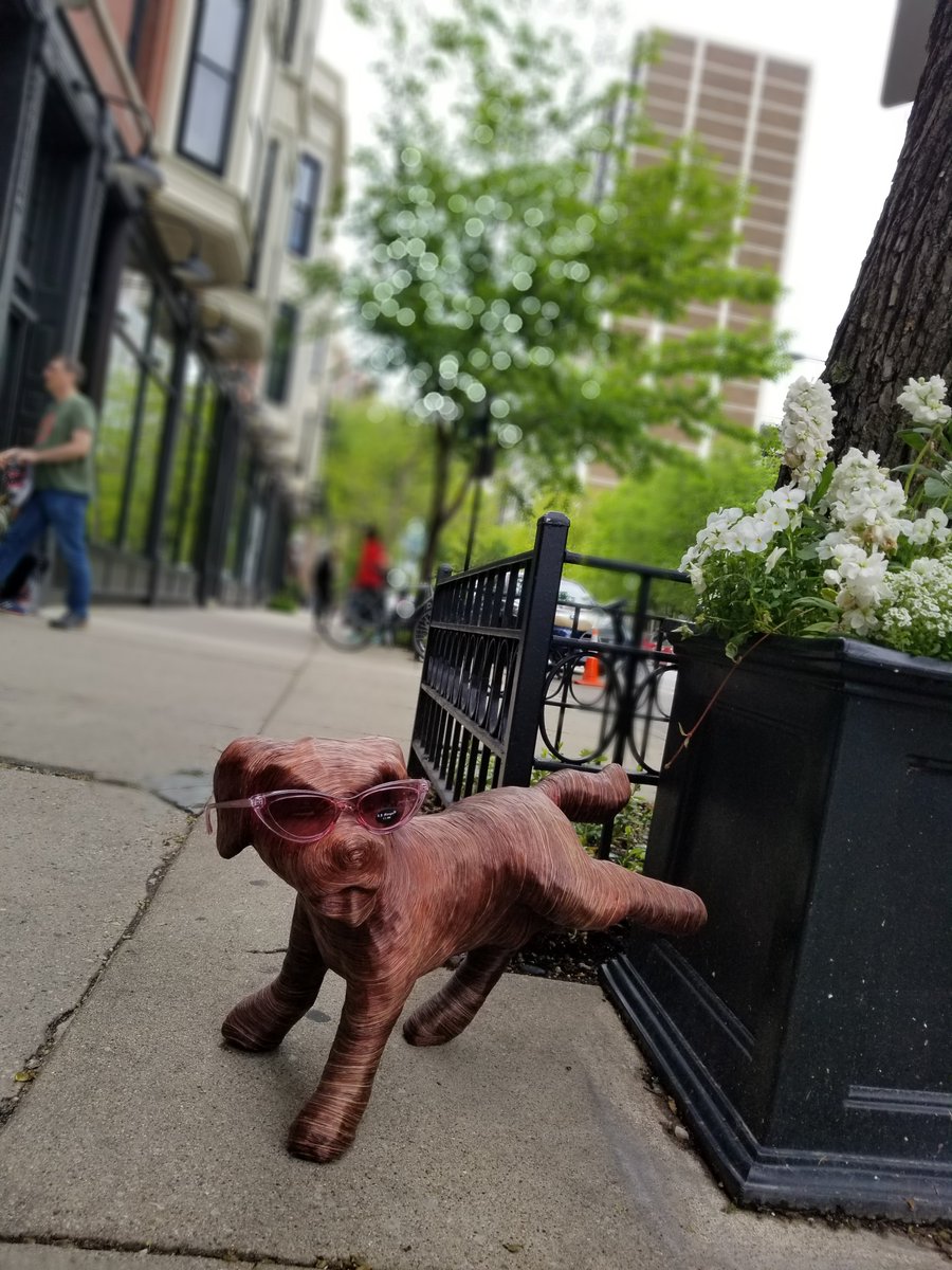 Hey you!🐶 
Gotcha! 😎
Did you get your sunglasses for this season already? What are you waiting for? #newcollection #sunglasses #doggygotthem #didyou 
#BeUnique #BeSpecial #BeAdelaide