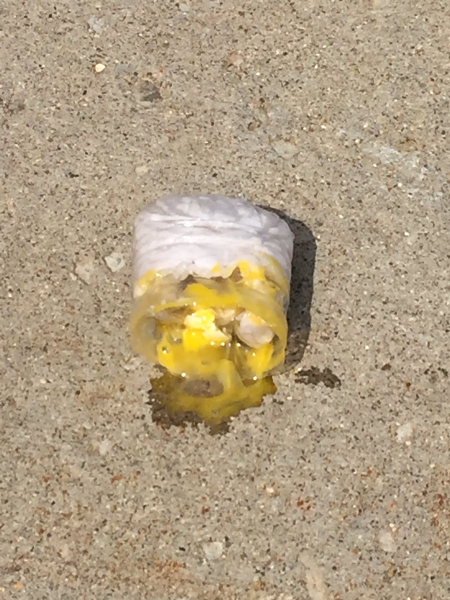 New Augusta South tweet media