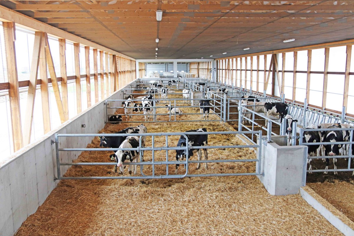 dairylanesystem's tweet photo. Tweet 2/2 - A Westwaard integrated milk replacer mixer with both nipple and bottle washer installed in this recent calf barn with Jourdain stabling! This bottle washer has a nice custom add-on to wash the milk separation buckets as well. #DLSdairy #DLSJourdain #farm365 https://t.co/80GlQWocsa