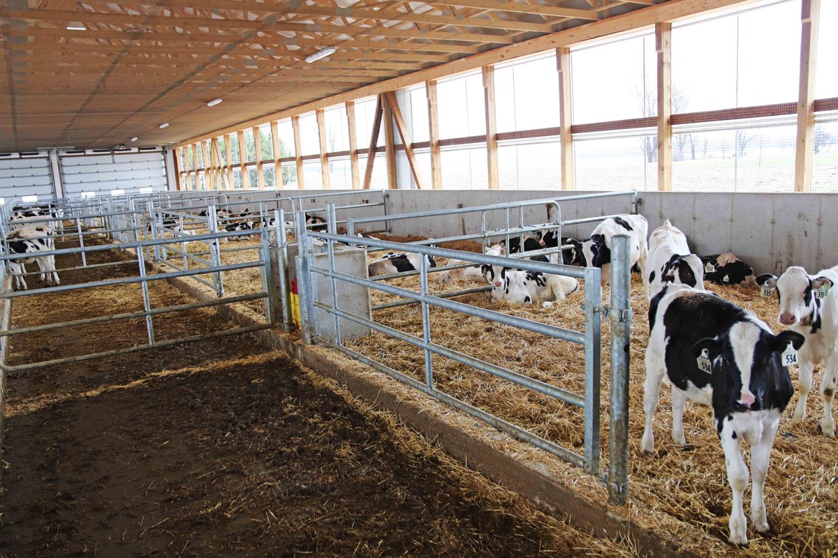 dairylanesystem's tweet photo. Tweet 2/2 - A Westwaard integrated milk replacer mixer with both nipple and bottle washer installed in this recent calf barn with Jourdain stabling! This bottle washer has a nice custom add-on to wash the milk separation buckets as well. #DLSdairy #DLSJourdain #farm365 https://t.co/80GlQWocsa