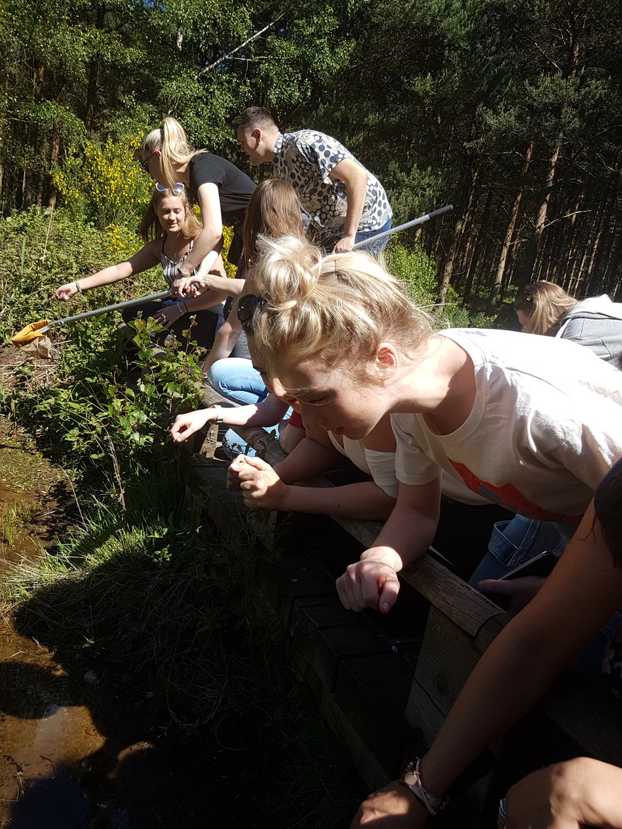 DSAT EYFS tweet media