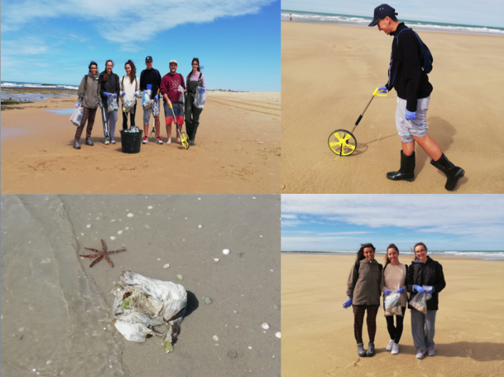 plasticfam's tweet photo. Second campaign of #plastics collection in #seagrass and beaches of #BahíadeCádiz (Spain) done!

Look our blog to know more👇
https://t.co/zeE63L0WR3

Working for #oceanconservation🌊💙

#PlasticPollution #SaveOurOceans
@bio_mas @univcadiz @Chelonia_ong @campusdelmar https://t.co/c90dVR7NWY