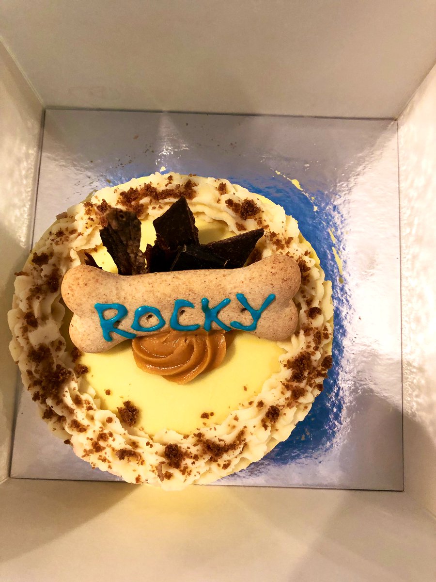 ADS_067's tweet photo. When you reach next level crazy dog lady &amp; don’t care #preciousboy #gotchaday #1year #woofgateaux #puppyspeanutcake https://t.co/lftZpdJFWI