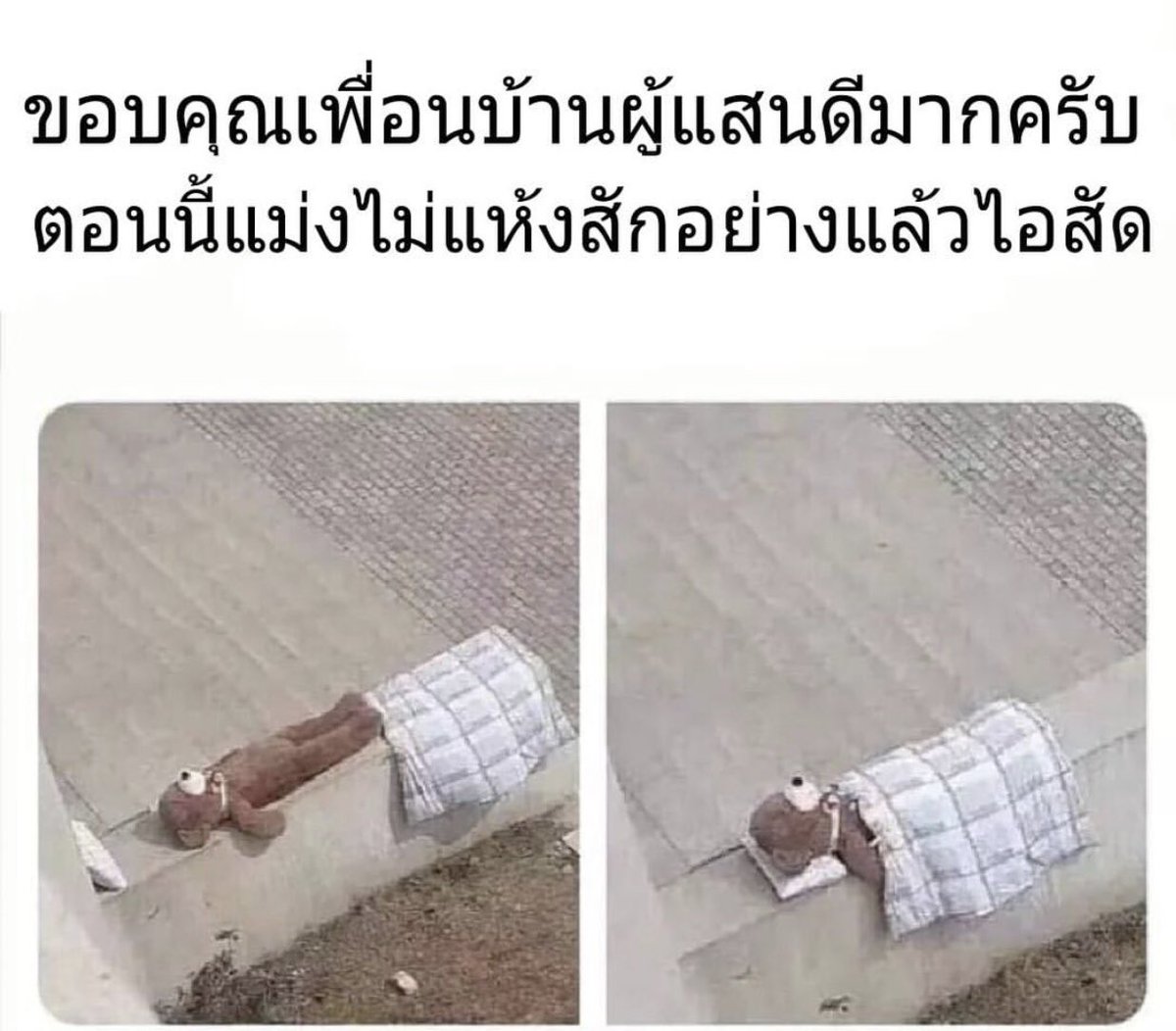 หมีเอ๋อ tweet media