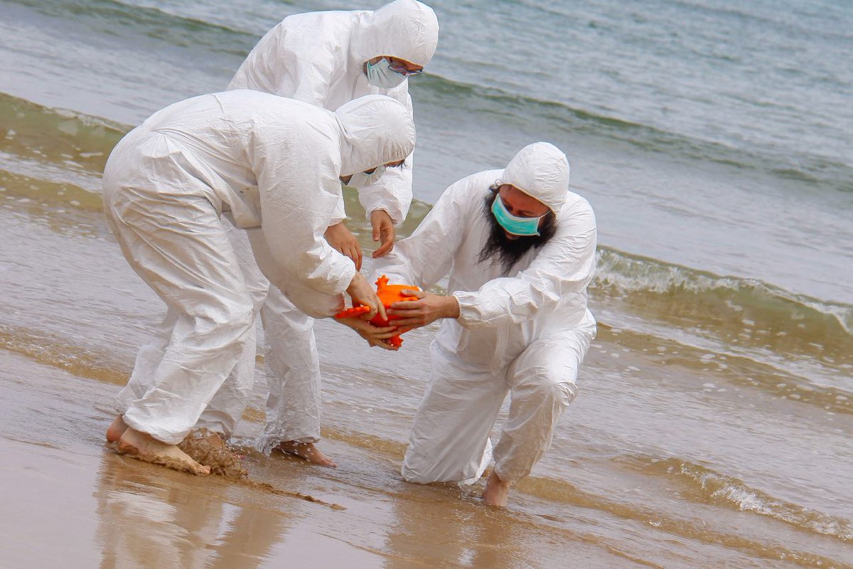 PodemosXixon's tweet photo. ☣️Atención☣️ Se ha encontrado un animal extraño en la Playa de San Lorenzo. Un grupo de expertos han ido a recoger muestras para analizar su procedencia y nivel de toxicidad #BioHazardAlert https://t.co/q59AXyYH3z