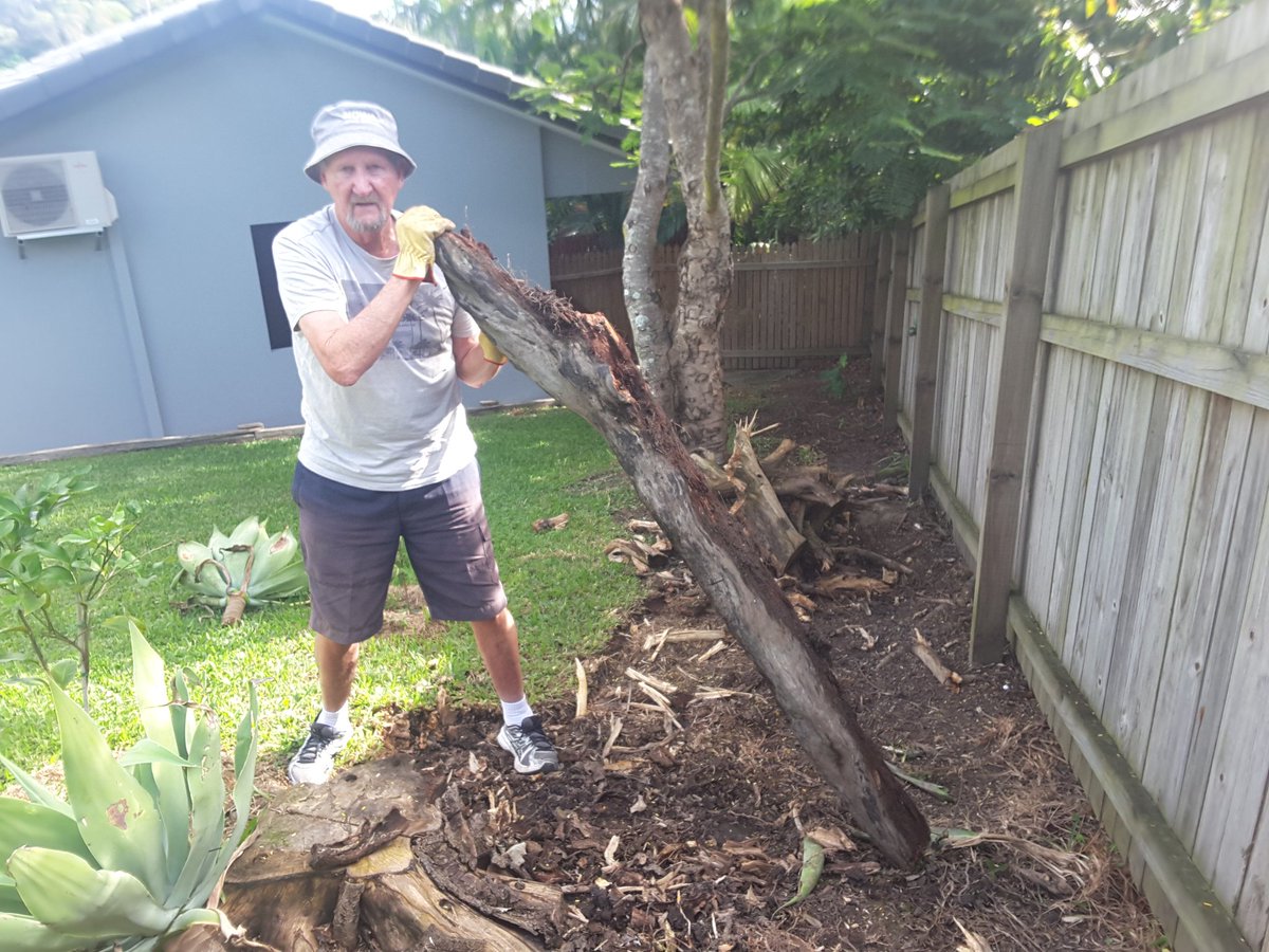 sacarlin48's tweet photo. @Asher_Wolf Mine was assuaging rage &amp; frustration by digging out the #deadwood in my garden. I've been doing this since Sat. All by myself but needed help from Steve for the last #BigRoot https://t.co/8o04FujYja