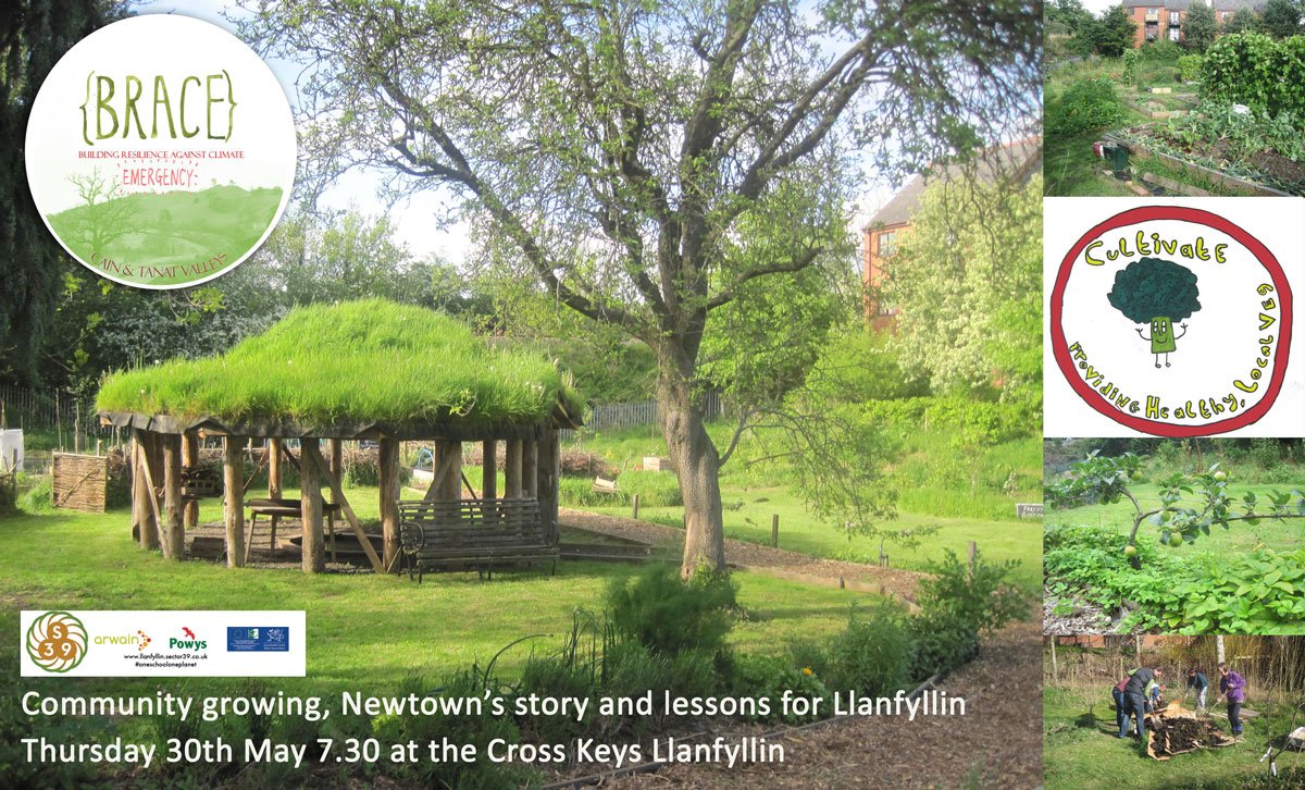 Cae Bodfach Community Garden (@cae_bodfach) on Twitter photo 