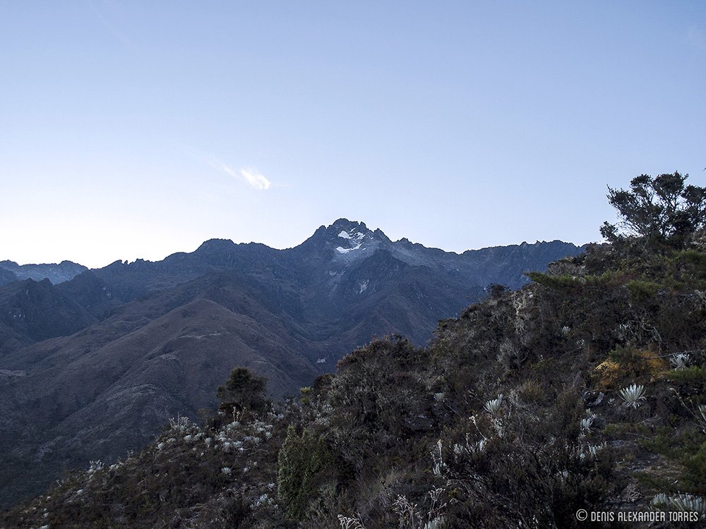 visiontorres2's tweet photo. Amanecer en las Montañas de Mérida, Venezuela.
#mountains #andes #merida #venezuela #parquenacionalsierranevada #paramo #visiontorres #naturaleza #naturephotography #sunrise #highlands #tropical #rayosolar #amanecer #vegetaciontropical #contrastes #bluemountains https://t.co/M0lJ6wnyI6