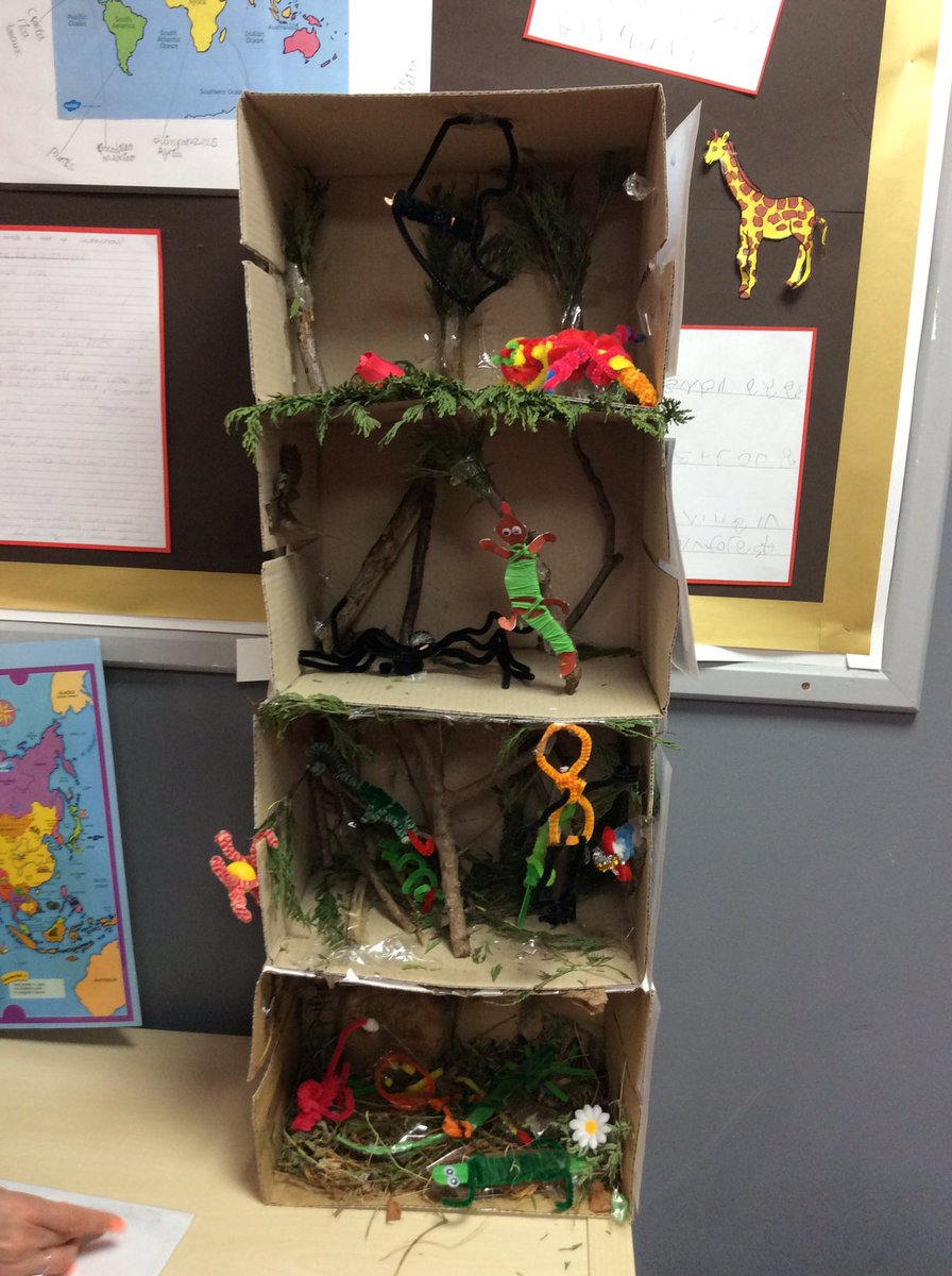 EPA_MySpace's tweet photo. Weβve been working hard all term to create our rainforest layers. Weβve been learning all about the plants and animals that live there. #cornerstones #rainforesttopic #rainforestlayers #collaboration #proud https://t.co/qg7ybyO0QE