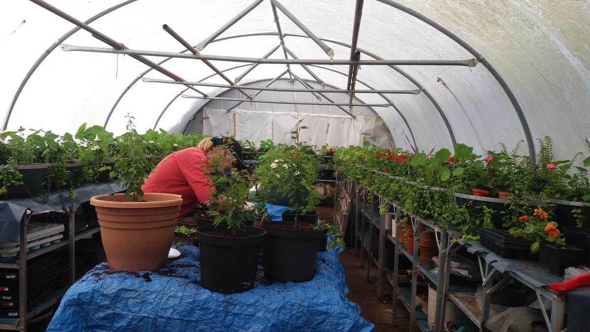 wendyspencer66's tweet photo. First day volunteering #WestKilbride #crafttown  #Greengym #environmentgroup. What a tranquil  and productive place. https://t.co/iDGMRAcBOZ