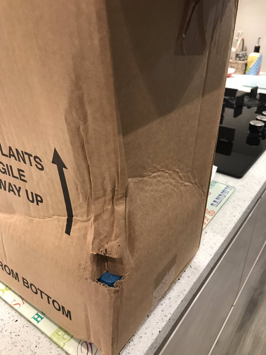 nikki_bowdidge's tweet photo. Not happy at all with the state my plants arrived in today @qvcuk #QVC https://t.co/28QwKa59Gr