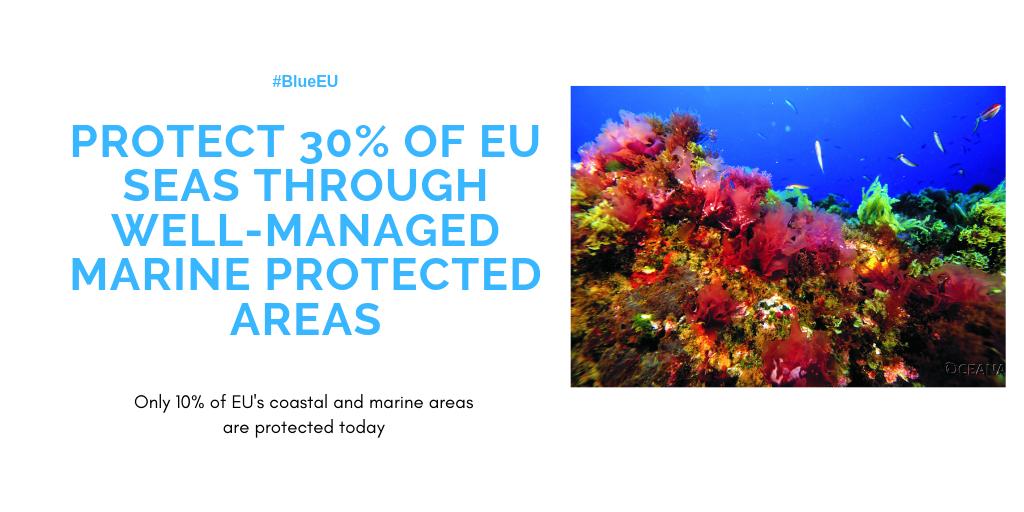 OceanaEurope's tweet photo. ❗Protection and restoration of the #environment must be at the heart of the next #EU term. Dear lead candidate, citizens count on you to save #OurOcean & make #BlueEU! #EUelections2019 https://t.co/yyeBEgxlSF