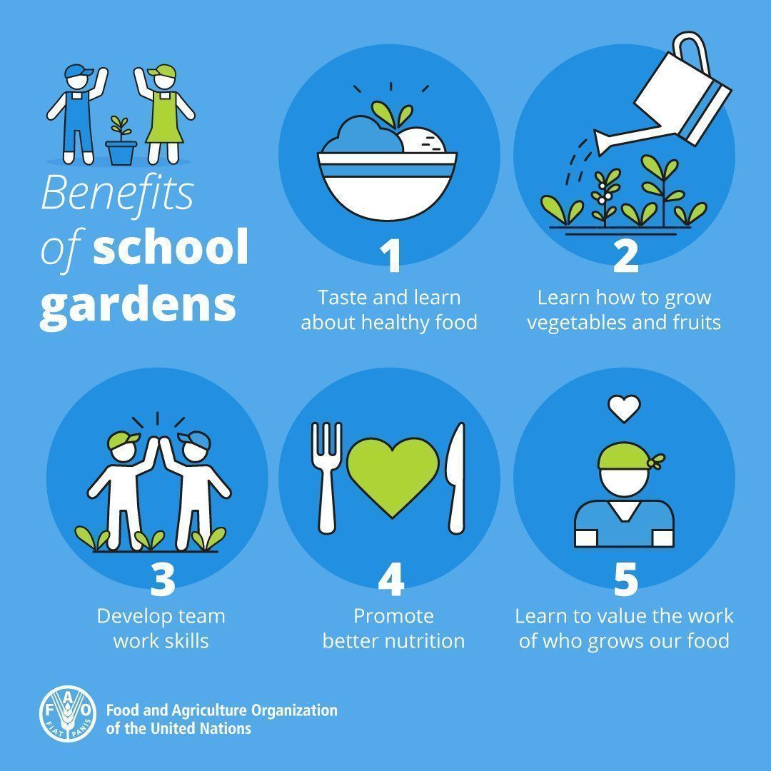 School gardens are a great way to teach children about respect for food. 

#ZeroHunger #FutureofFood