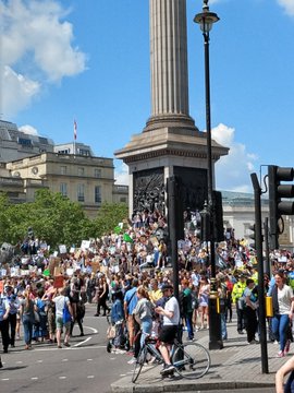 Ver imagem no Twitter