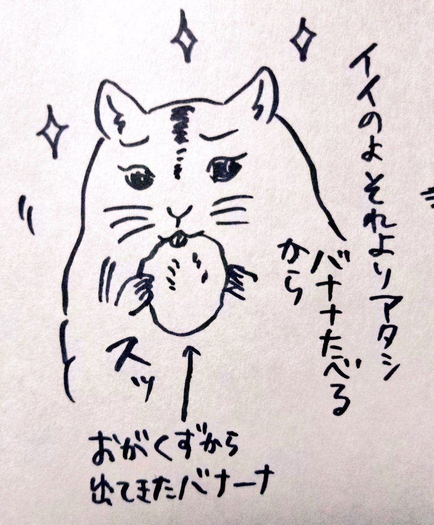 何があったんだよ 
