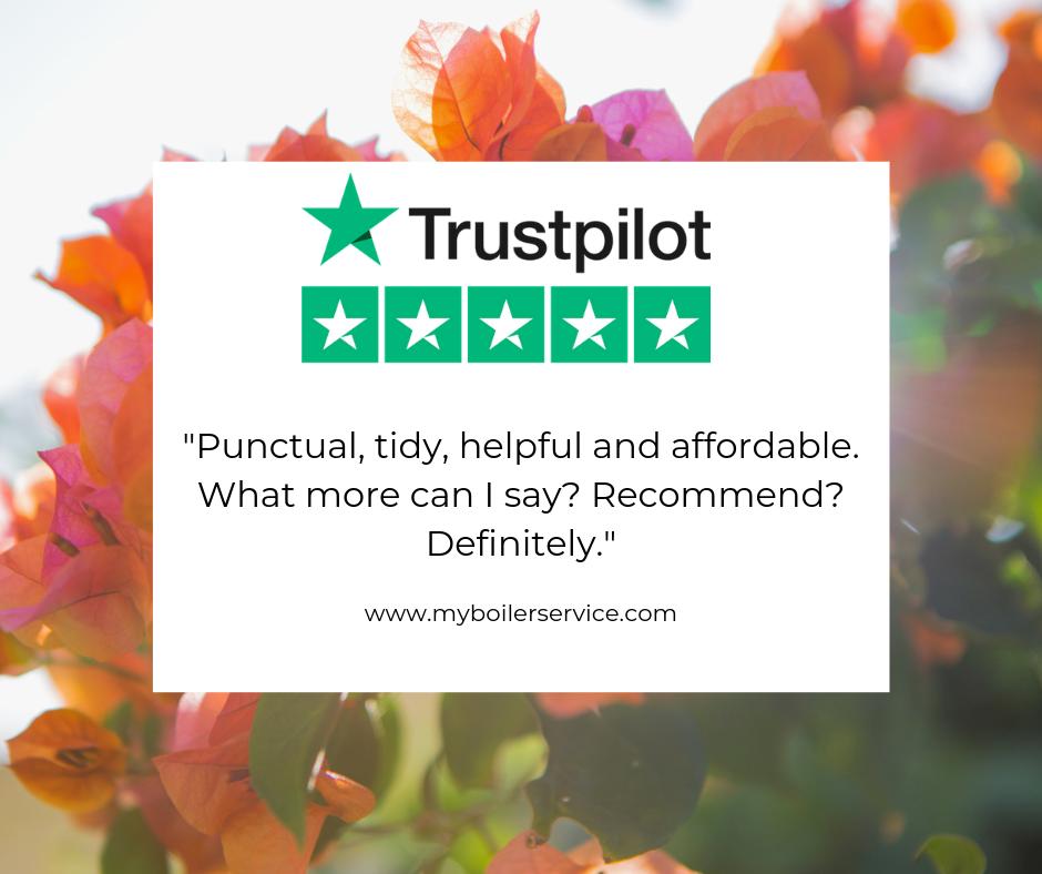 MyBoilerService's tweet image. Thank you Katie for a five-star TrustPilot review!

⭐⭐⭐⭐⭐

Leave your feedback today at trustpilot.com/review/myboile…

#feedback #customer #experience #Trustpilot #share #boilerrepairs #Boiler #service