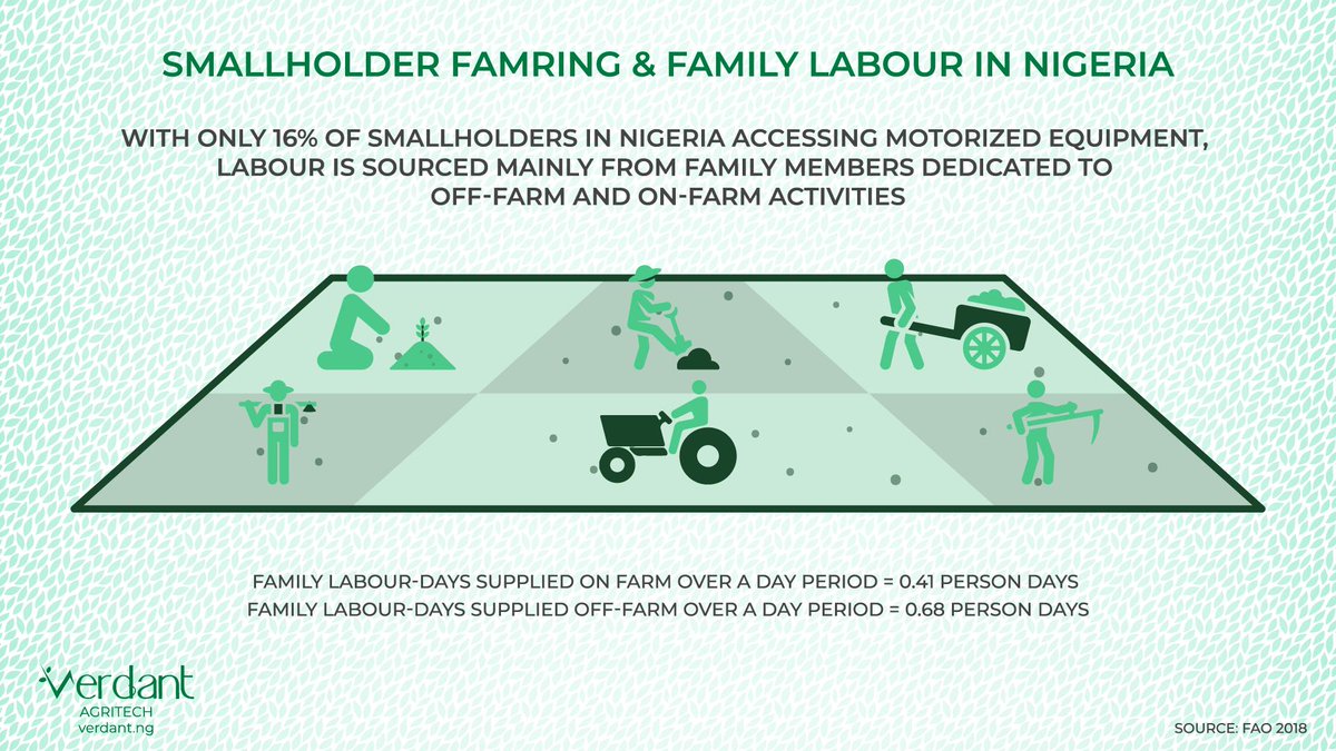 Only 16% of smallholders in Nigeria have access to motorized equipment, while farm input expenses account for 20% of value of production. Therefore, smallholders source for labour mainly from family members. 👩‍🌾

#agriculture #agritech #foodsecurity