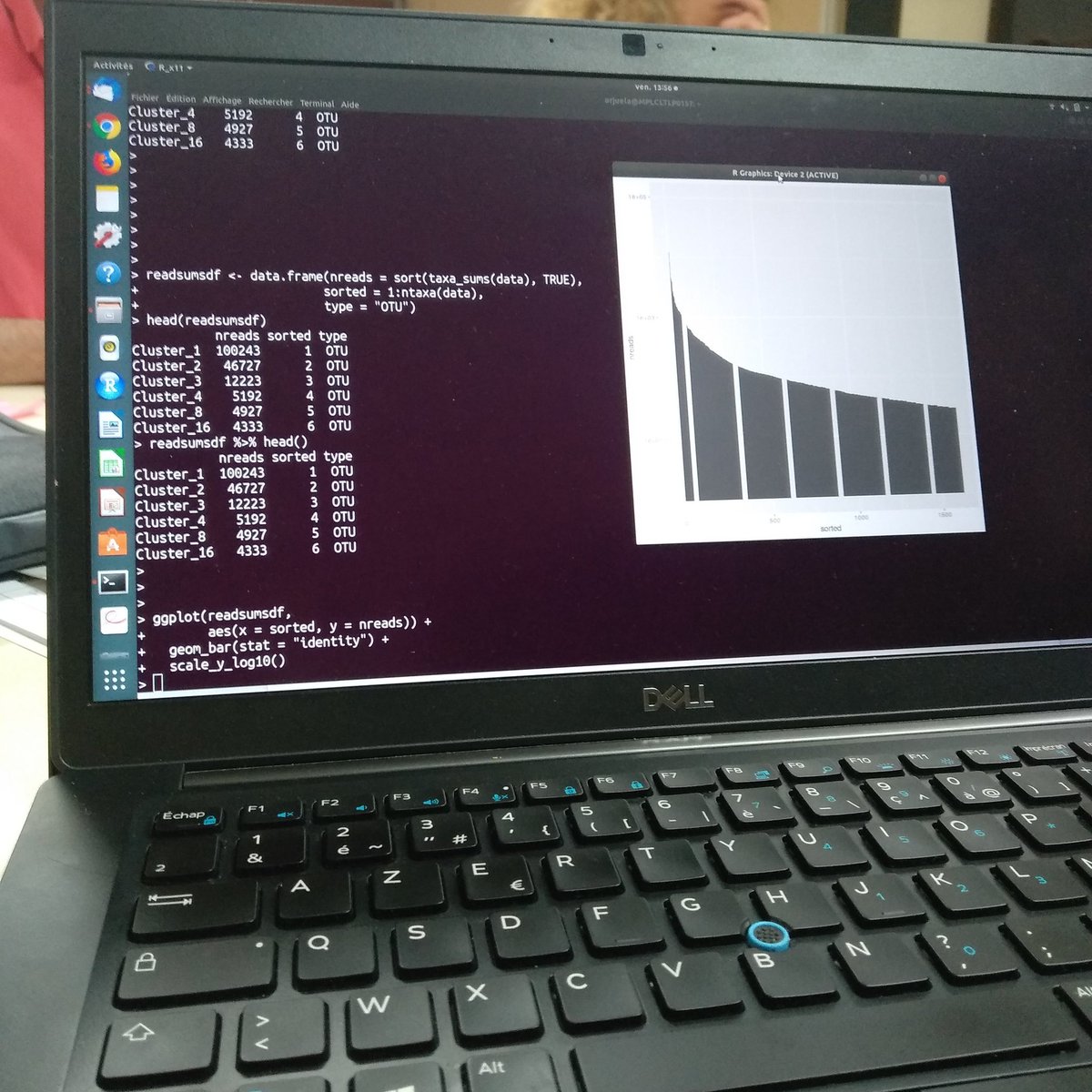 green_bioinfo's tweet photo. Hands on #phyloseq on #R package! Exploring OTUs tables. Obtaining rarefaction curves and calculating diversity indices 😎 with @fconstancias collaborateur from @Cirad. https://t.co/IbF2mdDCN9