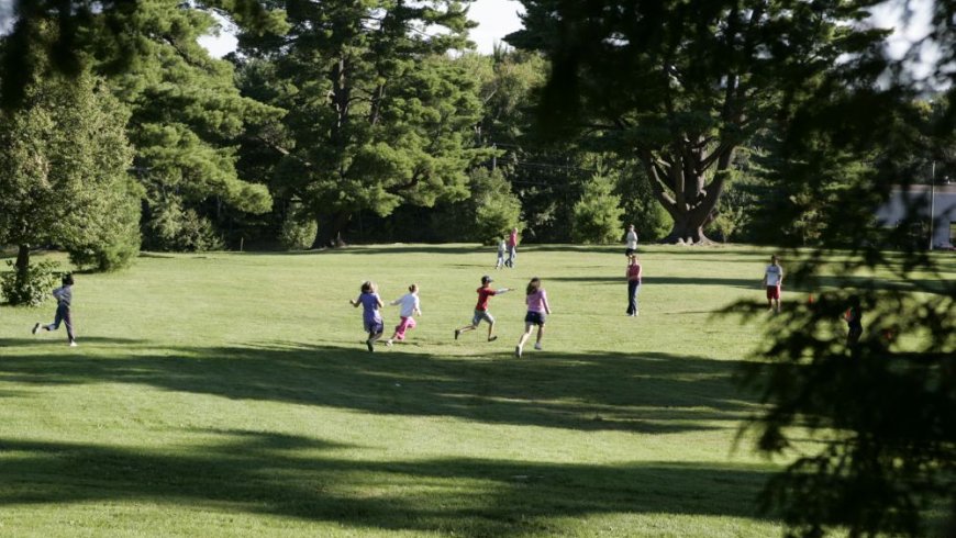 The City has announced the lineup of the first Odell Park Artist in Residence Program planned for this summer. You can find the schedule of selected artists and their bios here: fredericton.ca/en/news/city-h…