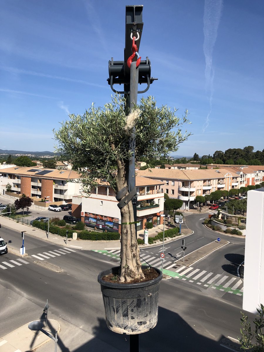 senioriales's tweet photo. Notre résidence @SenStJeanDVedas près de #Montpellier peaufine son ouverture prévue cet été ! La toiture et les balcons s'habillent d'oliviers centenaires 😍 Succès commercial déjà au rendez-vous avec @Bouygues_Immo ! ➕d'infos https://t.co/2lLj0FZQuH #immobilier #architecture https://t.co/bWeGZlf9I2
