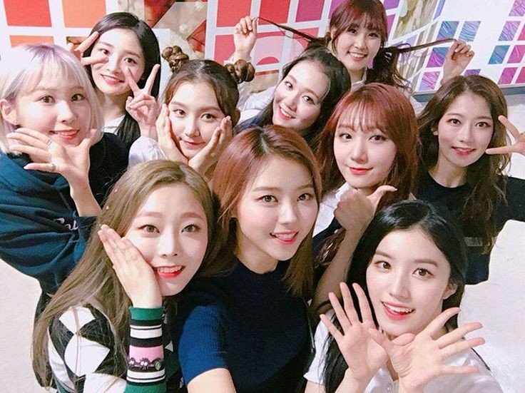filhasdehala's tweet photo. Mais uma vez vemos o descaso com mulheres na indústria coreana. Pledis anuncia o disband oficial do grupo Pristin após 2 anos de atividade. O grupo não promovia junto desde 2017, mesmo ano de seu debut, e acumulava 3 prêmios de rookie do ano. https://t.co/BG0Lq2GZVJ