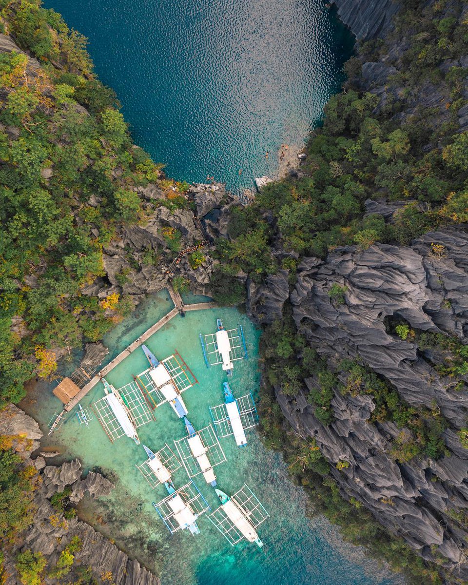 FlyToManila's tweet photo. 😉 Who would love to go here?
📍 Philippines
💑 Tag your Partner

#itsmorefuninthephilippines #goph #philippines #nature #Cebu#Oslob #kawasanfalls #coronpalawan #palawan #palawanisland #travel #TwinLagoon https://t.co/VzPlssrHXh