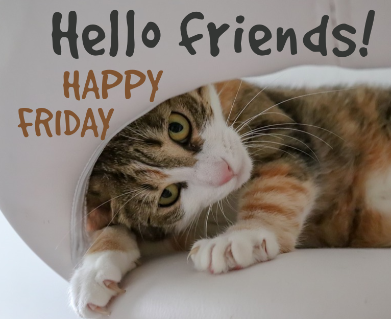 endless_paws's tweet image. Hello, dear friends! Happy Friday! Hope it turns out to be a great day for all of us!

#CatsOfTwitter #cats #FridayFeeling