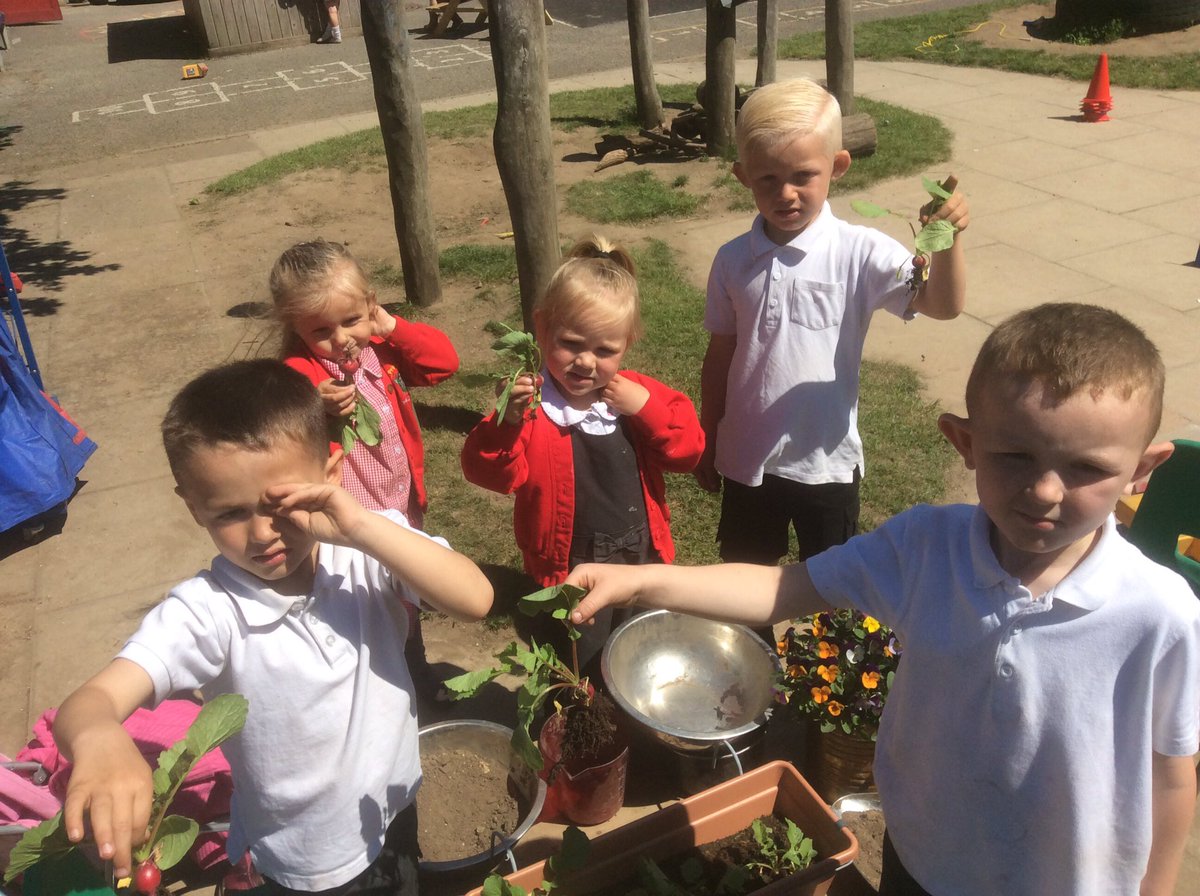 EPAForestSchool's tweet photo. Can’t beat growing our own vegetables, We can’t wait to taste our radishes 😁
#growyourown
#freshisbest
#receptionrocks
@EPA_TabbiesFS2 
@EPA_KittensFS1 https://t.co/skd32L7bLT