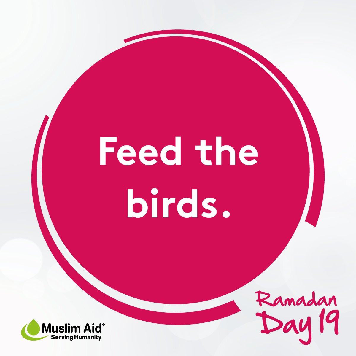 Muslim_Aid's tweet photo. Something as simple as feeding the birds could get you multiple rewards in #Ramadan.

#30GoodDeeds https://t.co/xudJmoRKQi