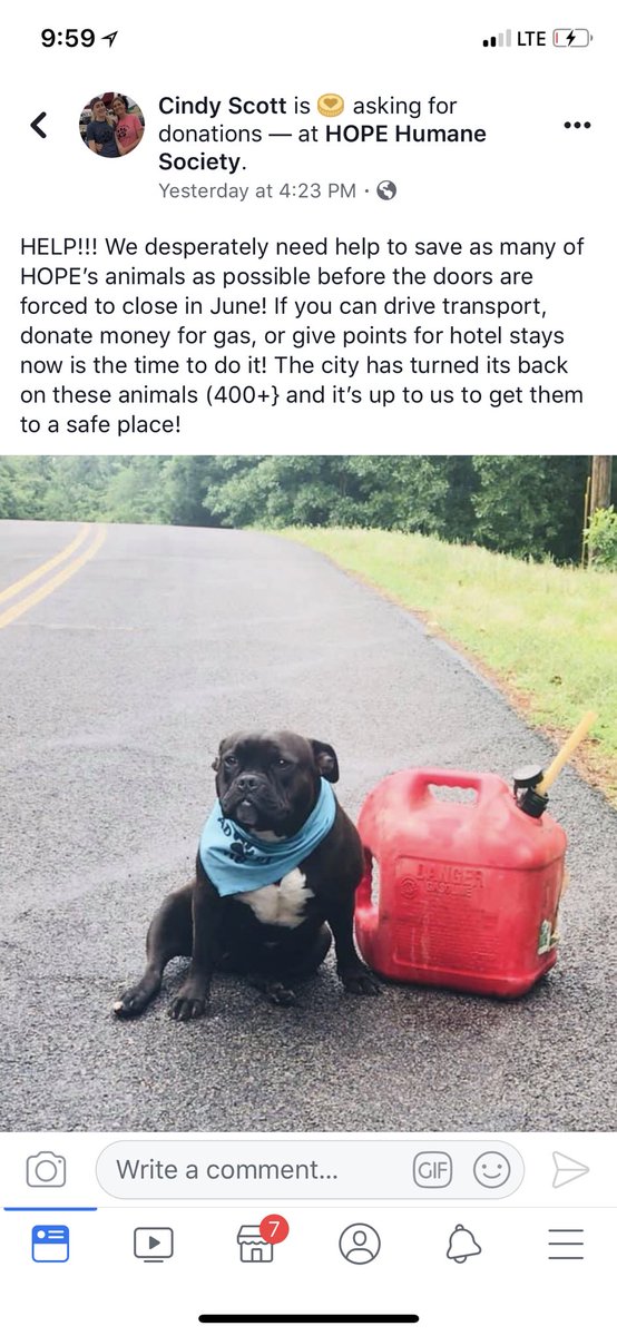 amziecheyanne6's tweet photo. @MileyCyrus HOPE HUMANE SOCIETY LOST FUNDING AND ARE FORCED TO CLOSE THEIR DOORS IN JULY. There are 400+ animals that need help. Please help us spread the word. These animals need our help. https://t.co/0SVvFjfV1Y