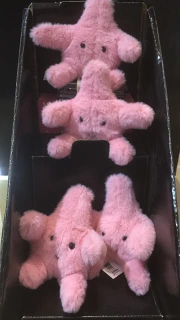jellycat starfish