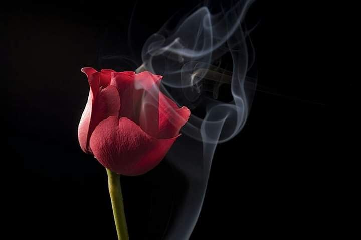 ray_rey tweet picture