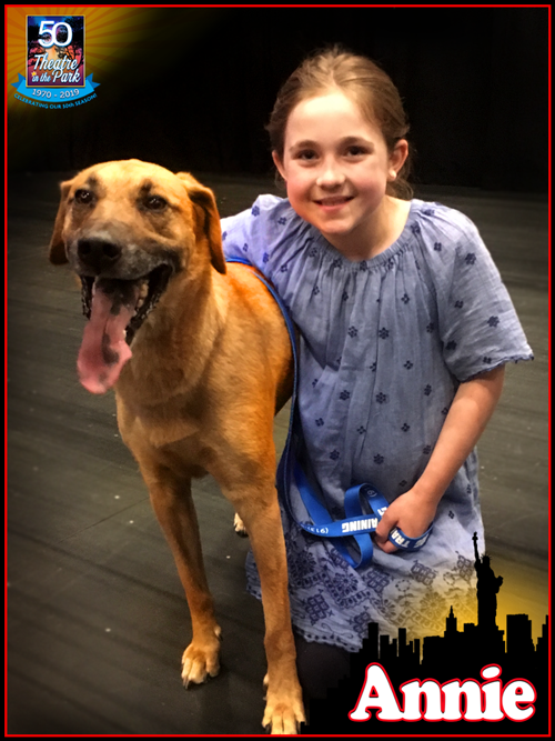 TTIPofficial's tweet photo. Leapin' lizards it's Sandy!
Theatre in the Park is proud to introduce Holly Lichtenauer and Buck as Annie and Sandy! Come join Holly and Buck as they make their TIP debuts in Annie when we open our 50th season on June 7th! #tipannie @kcelitedogtraining #TTIPofficial https://t.co/H47fttR6mp