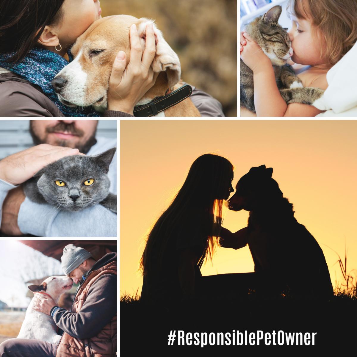 npicpet's tweet photo. May is Responsible Animal Guardian Month! Celebrate being a #ResponsiblePetOwner with your pet by giving them the natural, nutritious treats that suits their needs at https://t.co/UK1sbMtAEe #NPICpet #Nbone #Twistix #GetNaked https://t.co/gREMvTES8M