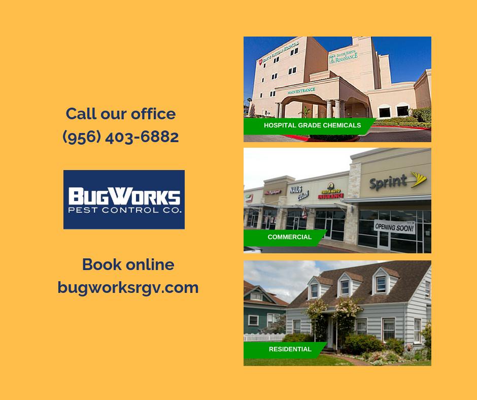 BugWorksRGV's tweet image. Keep pests out of your home and business. Schedule your treatment or services at (956) 403-6882!

bugworksrgv.com