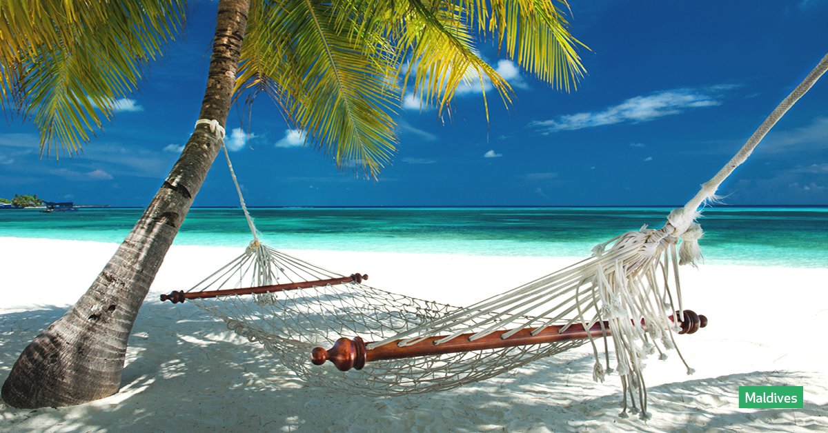goldmedalagents's tweet photo. Exclusive Maldives offer from £1,399pp - stay 7 nights all inclusive at 4* Meeru Island Resort &amp; Spa with FREE return transfers included! Valid for departure 16 Sep 2019.  For more details, click the link https://t.co/fBpJnRDxsW 🐢🌴🌞🥂 https://t.co/ujfbRqkQkk