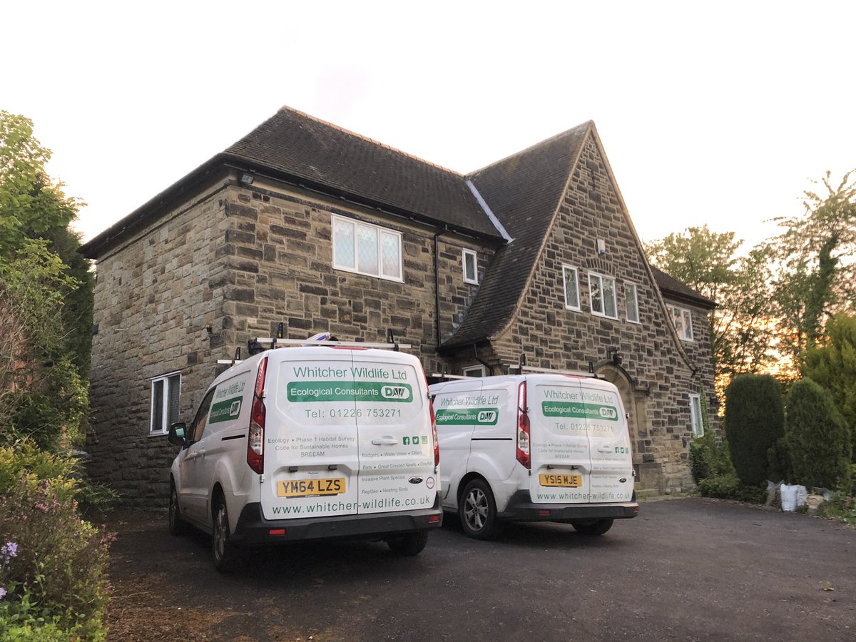 WhitcherWild's tweet image. Another day another bat survey. #bat #bats #batsurvey #surveyseason