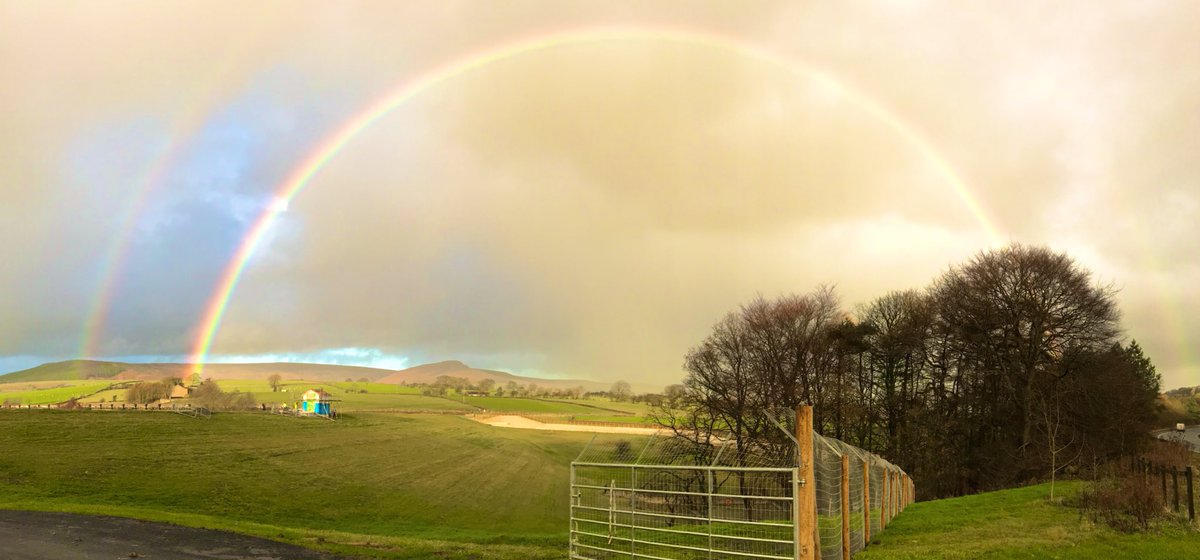 Beth Parsons tweet media