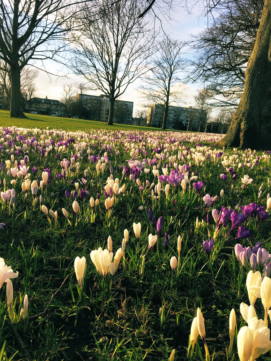 Beth Parsons tweet media